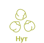 Нут